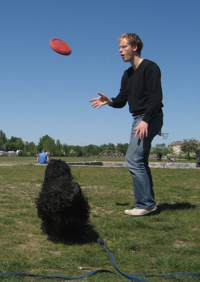 [disc+training+so29_34.jpg]