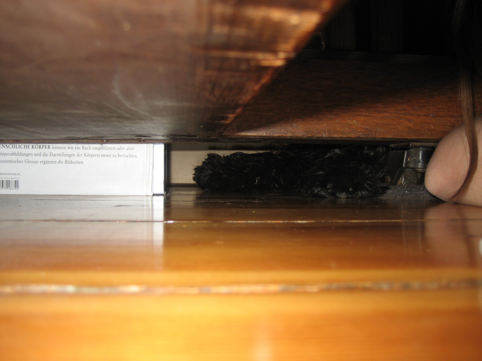 [unterm+klavier.jpg]