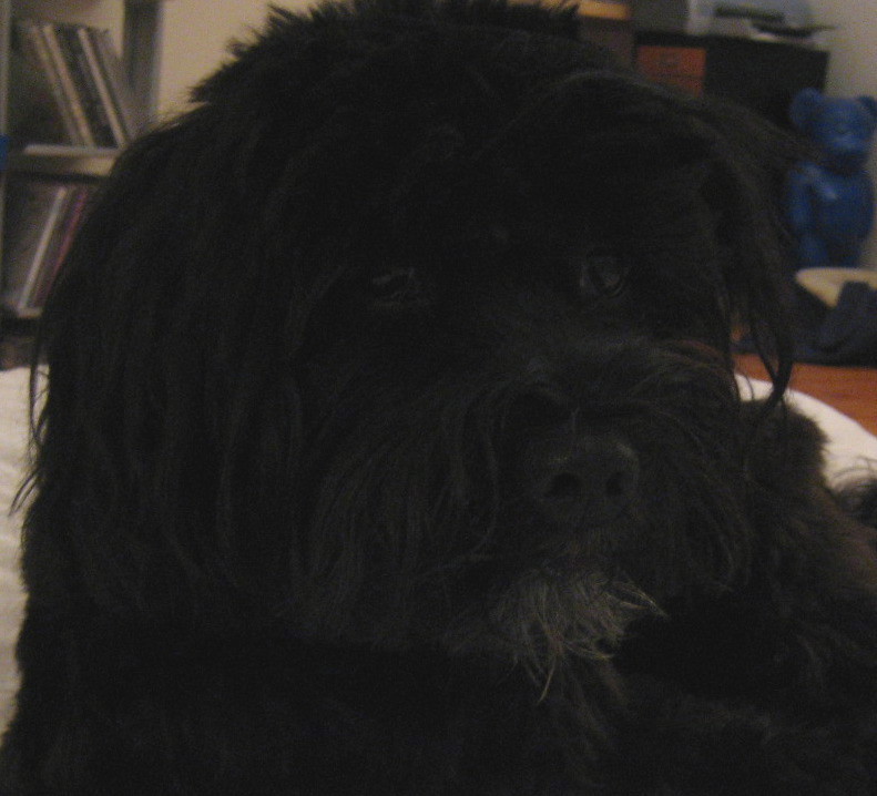 [Habca+Kopf+Ende+Mai07.jpg]