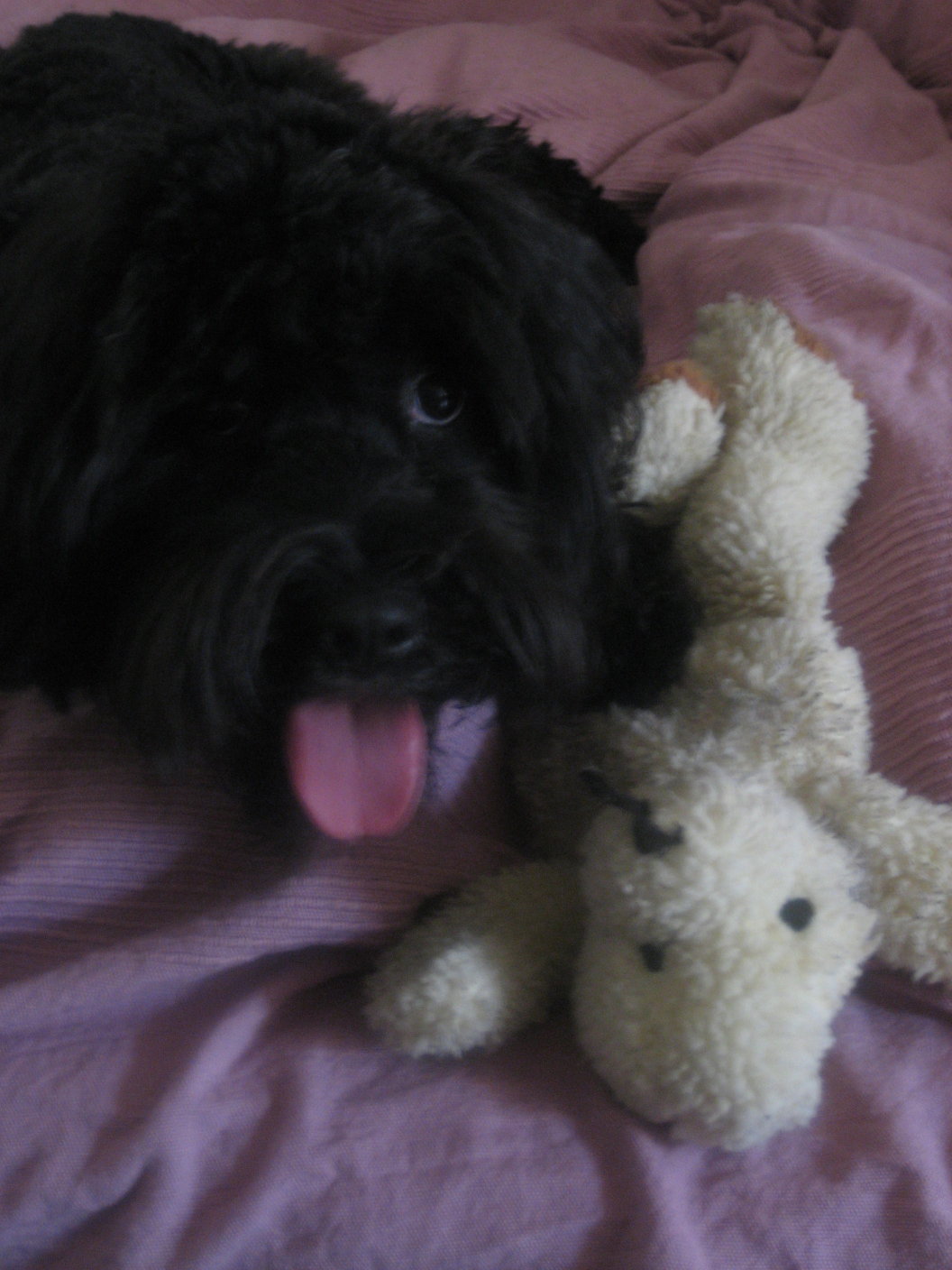 [H+und+BertderBaer.jpg]