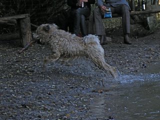 [DSCF0088.jpg]
