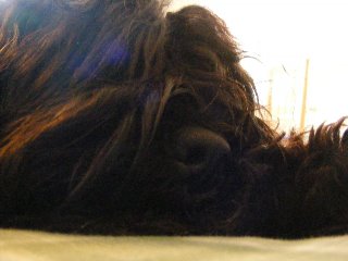[DSCF0097.jpg]