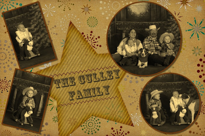 The Culley Family