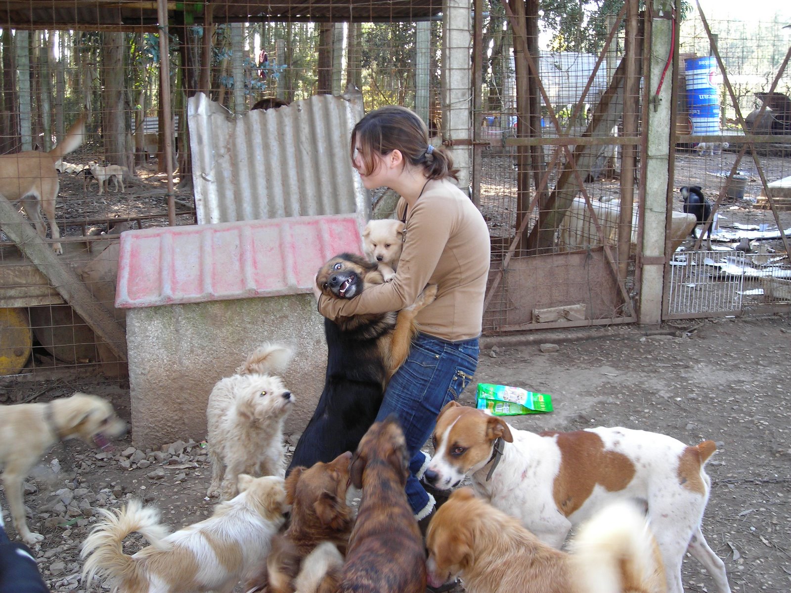 [DSCN2115.JPG]