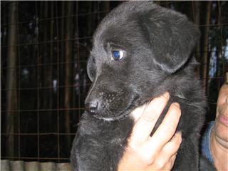 [GetAttachmentCAWXXUYO.jpg]