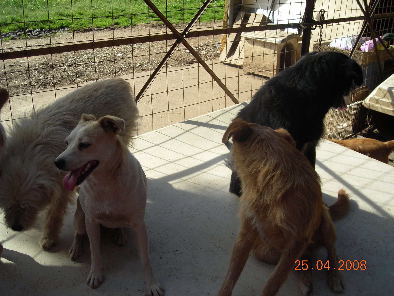[DSCN3555.JPG]