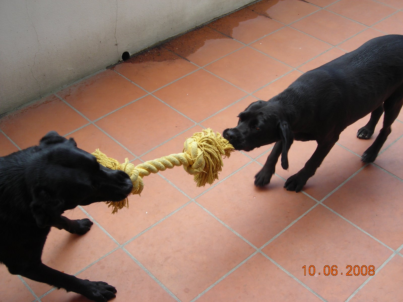 [DSCN4765.JPG]