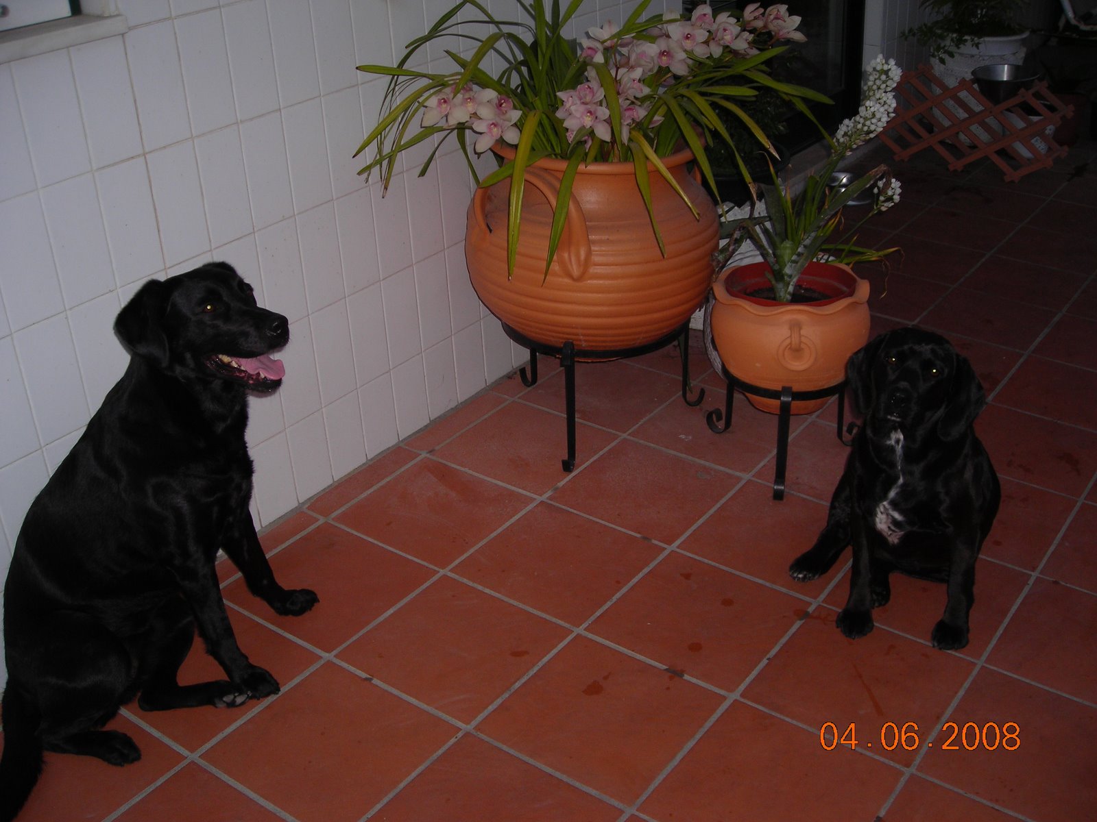 [DSCN4405.JPG]