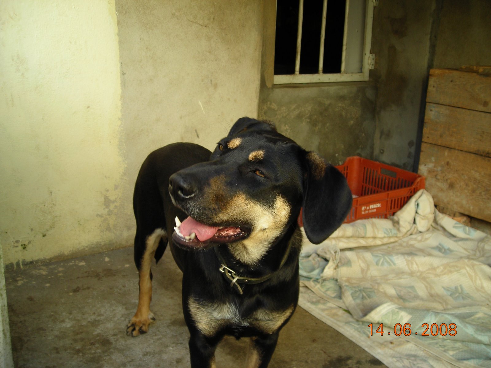 [DSCN5468.JPG]
