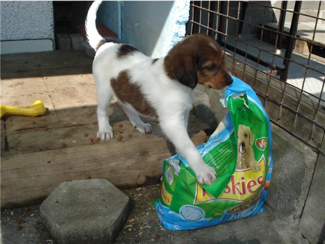 [GetAttachmentCA90NM3F.jpg]