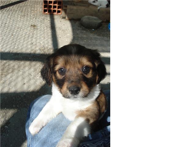 [GetAttachmentCALBWQ2Q.jpg]