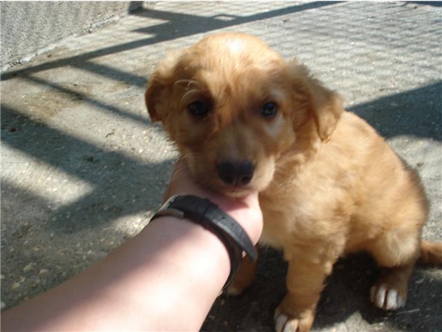 [GetAttachmentCABU8SUN.jpg]