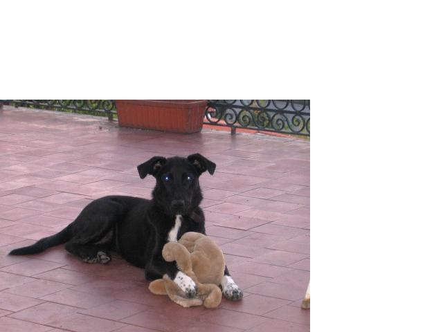 [GetAttachment6.jpg]