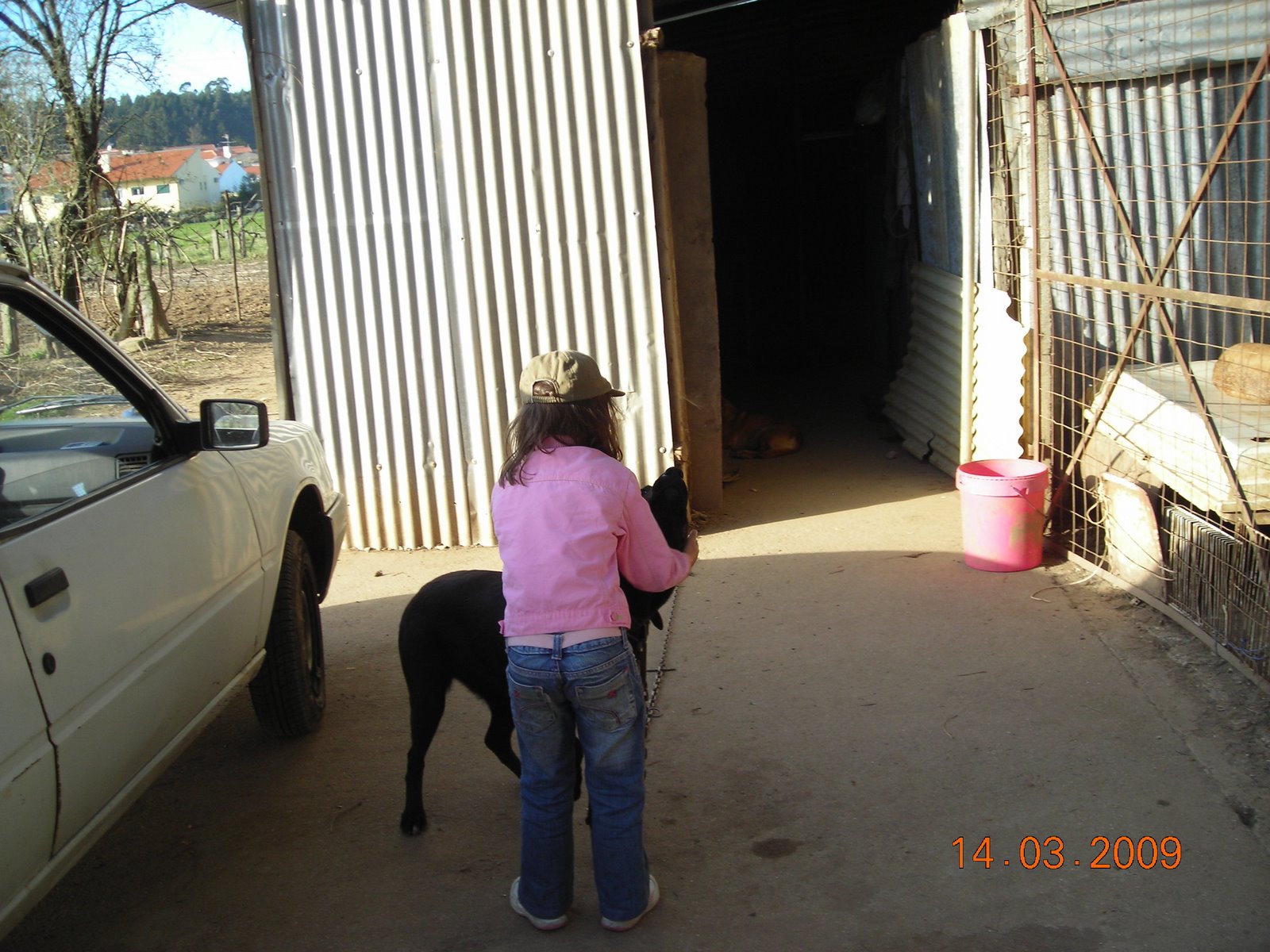[DSCN0491.JPG]