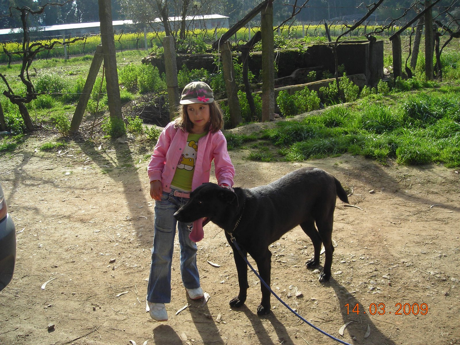 [DSCN0445.JPG]
