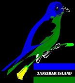 ZANZIBAR ISLAND