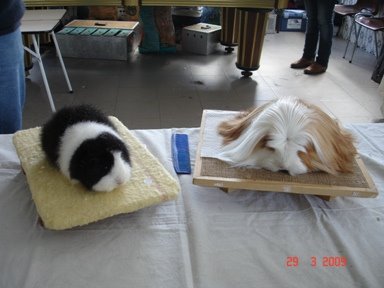 [expo_12_79.JPG]