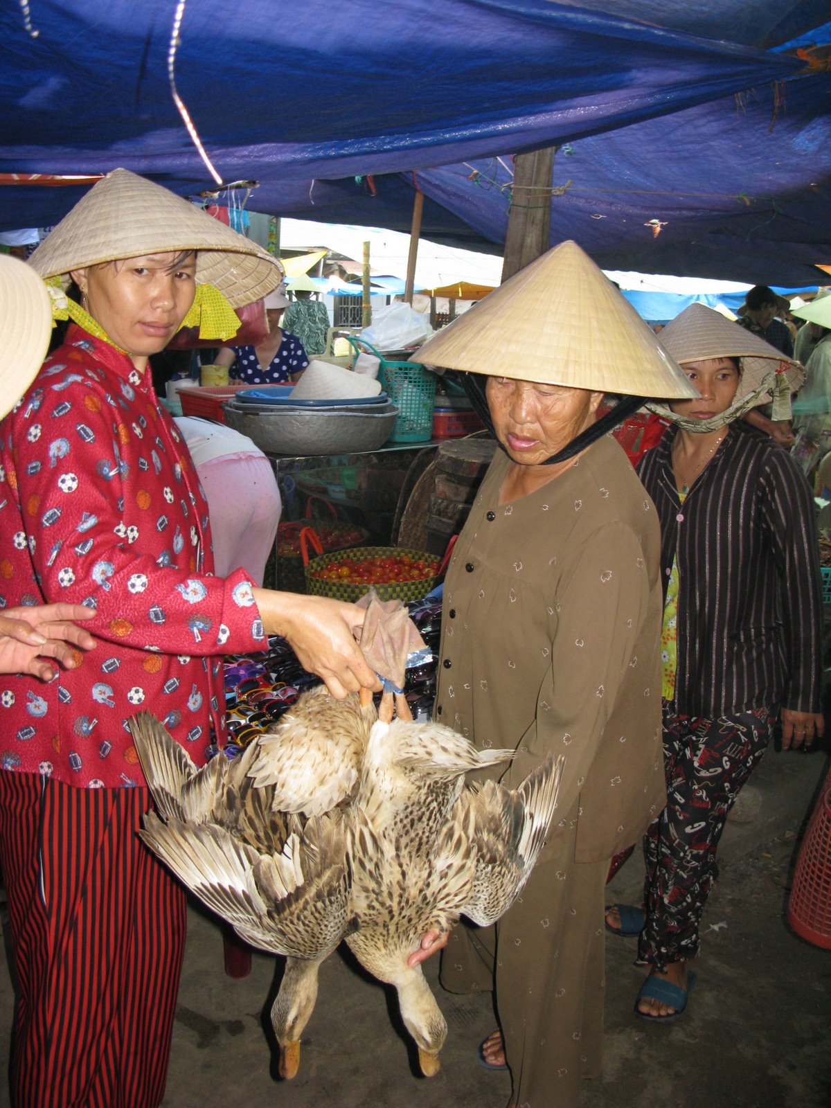 [IMG_0196.JPG]