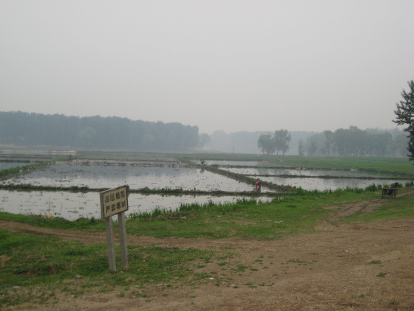 [IMG_0102.JPG]