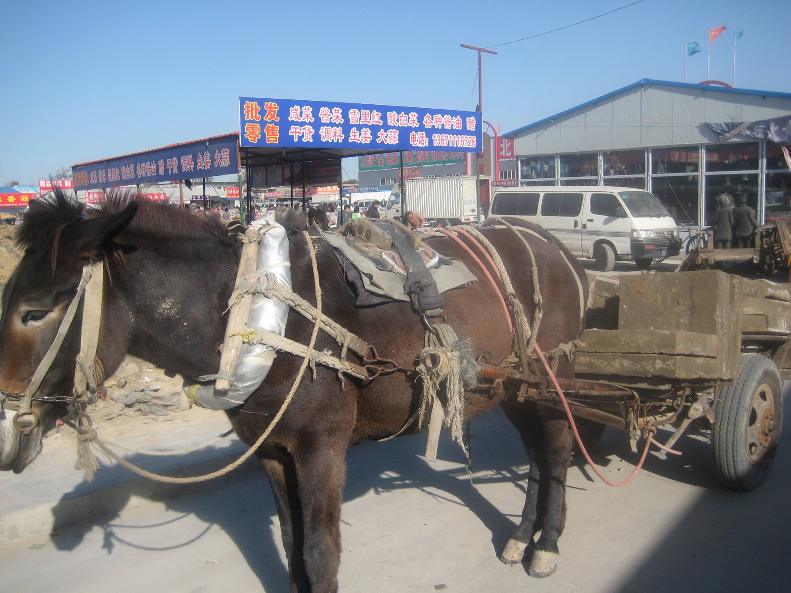 [IMG_1290.JPG]