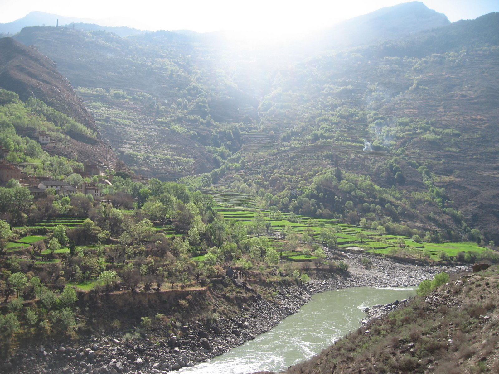 [IMG_3396.JPG]