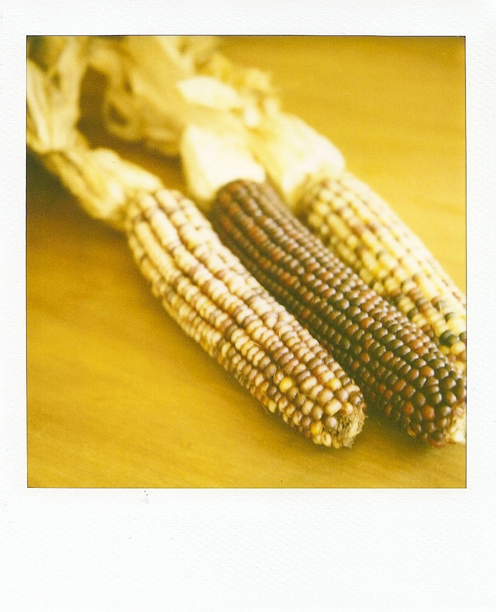 [scan0013.jpg]