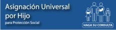 Consulta de datos ingresados en Anses para la Asignación Universal por Hijo