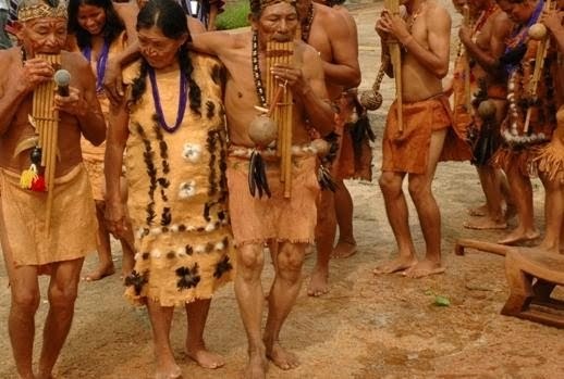 la amazonia y todo a su alrededor