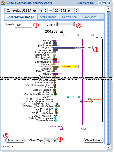 Interactive Type Chart