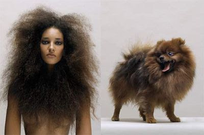 http://4.bp.blogspot.com/_Iu5Ryb9tht8/RXmGV509s4I/AAAAAAAAAAY/RVHjJ5X9tok/s400/Untitled-2.jpg