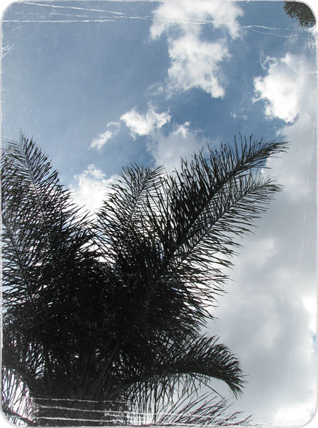 [IMG_0779.jpg]