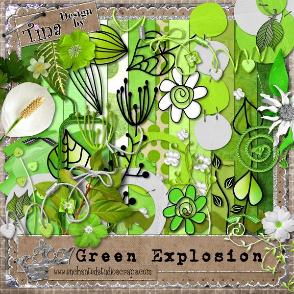 [Design+by+Tina_GREEN+EXPLOSION_preview.jpg]