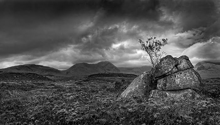 bleak sky