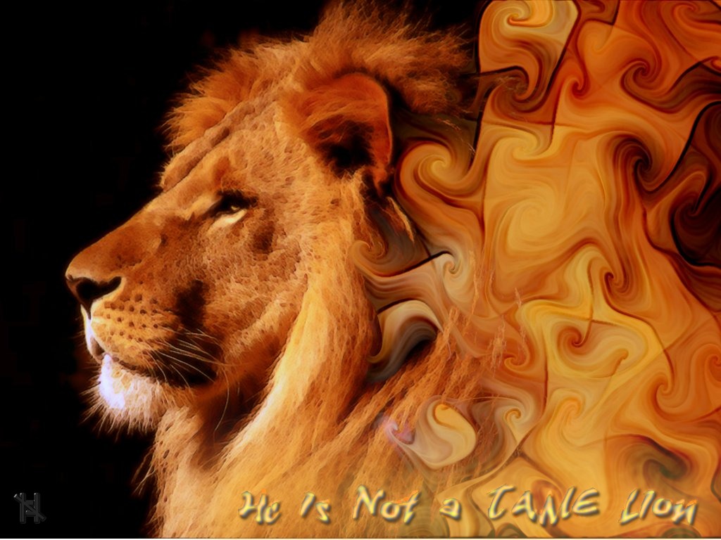 http://4.bp.blogspot.com/_IvGT1otbXhY/TB9L9bMR-CI/AAAAAAAAAC0/DMSdUyHiDWw/s1600/Aslan.jpg