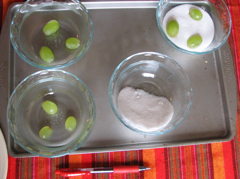 Osmosis with Grapes (Sarah Ishida) sed555f11