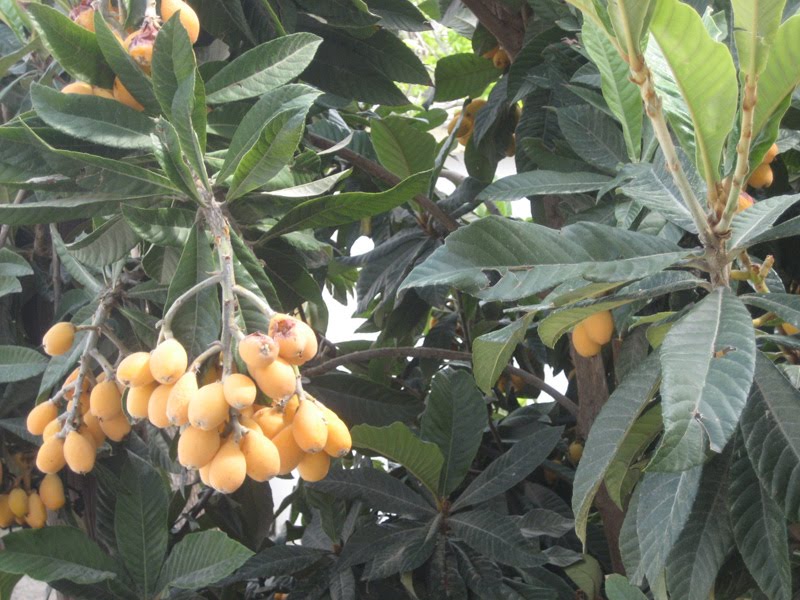 Hey teach me some English Nine days in Cyprus