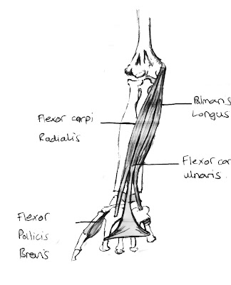Joshua James Animation - LSL Hands On: December 2010
