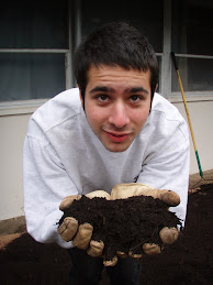 Organic Compost--we love it!