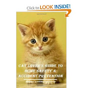 Cat Lover's Guide to Home Safety & Accident Prevention
