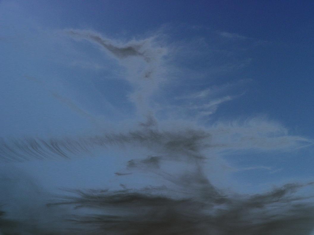 [GullCloudsSundayBeakedBird29Mar2009_01.jpg]