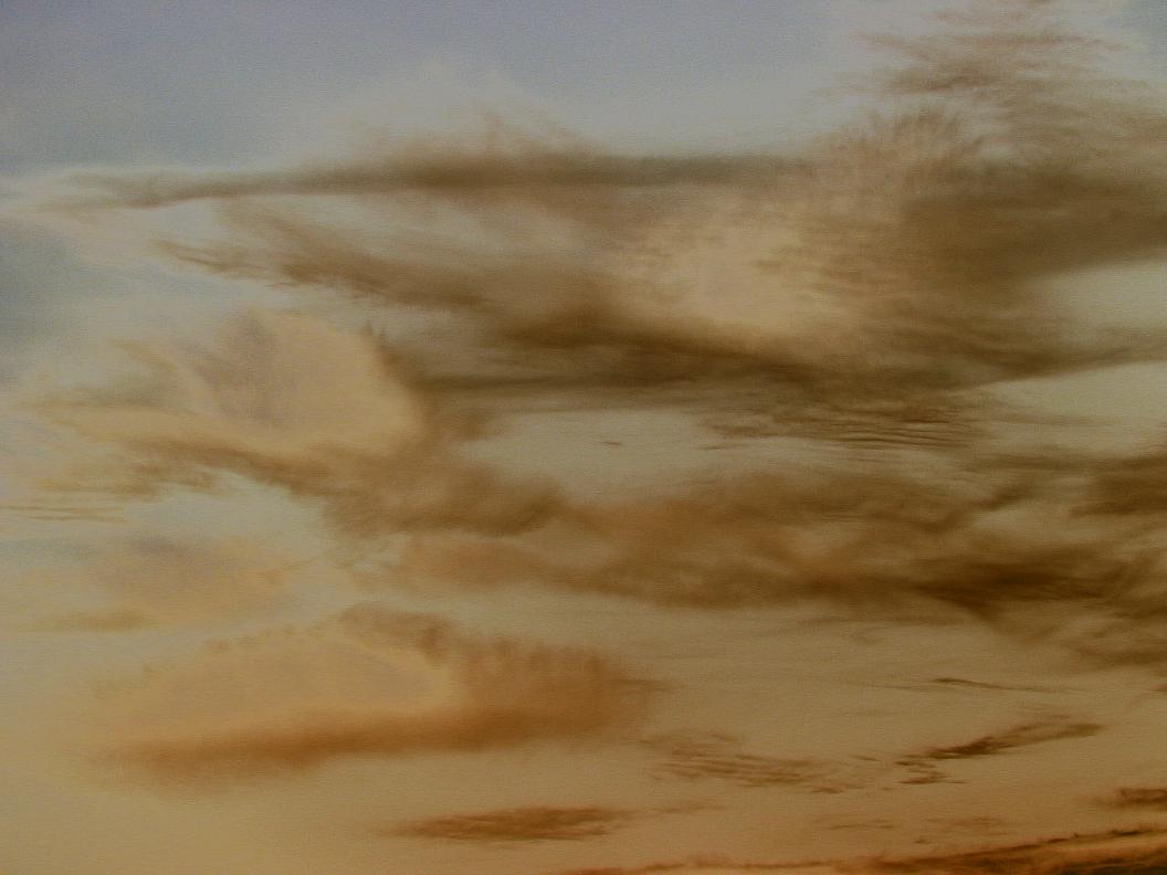 [GullCloudsGullWindsSkyBeach29Mar2009_01.jpg]