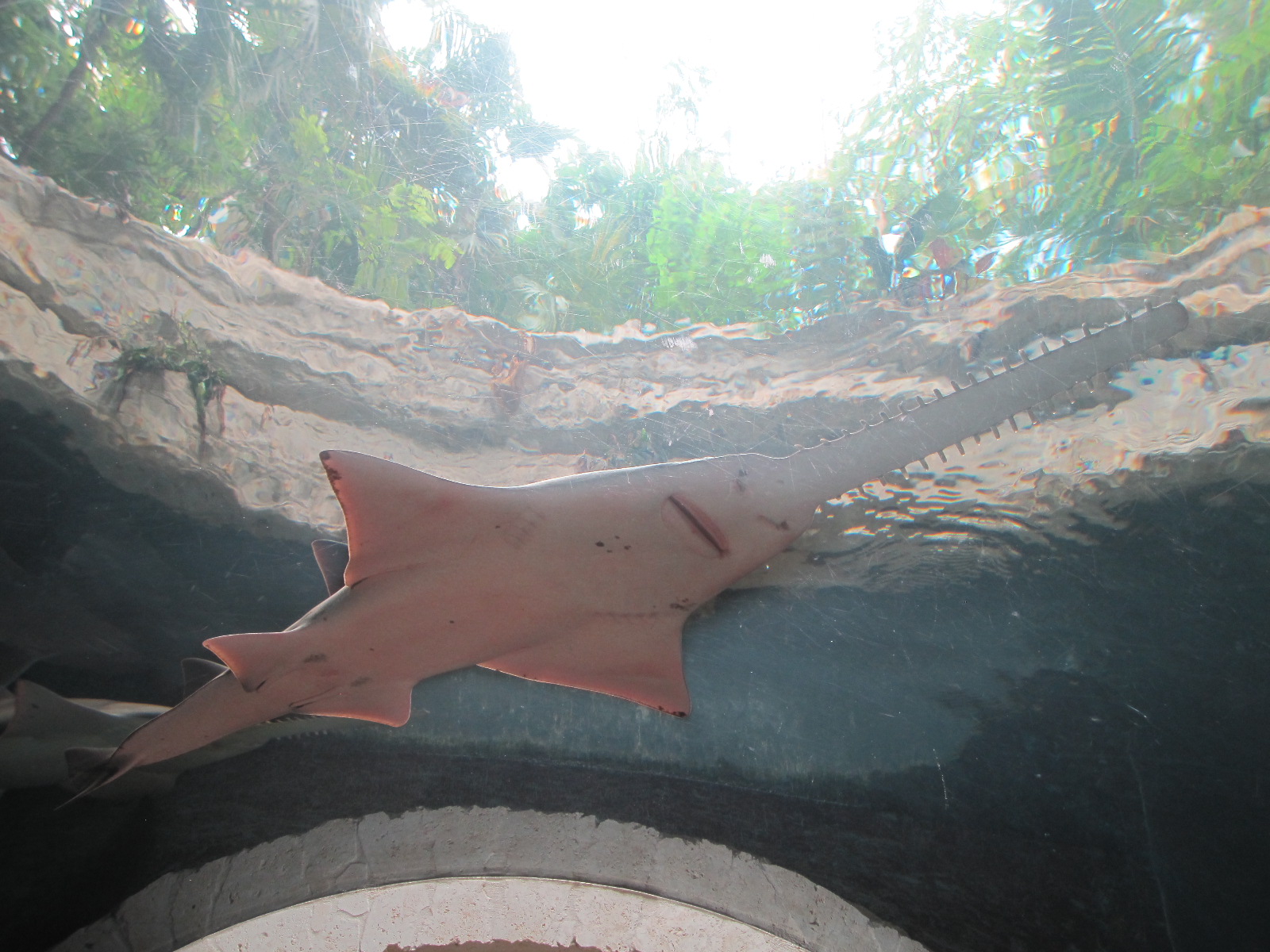 voted 2010 "Best Independent Sports Blog