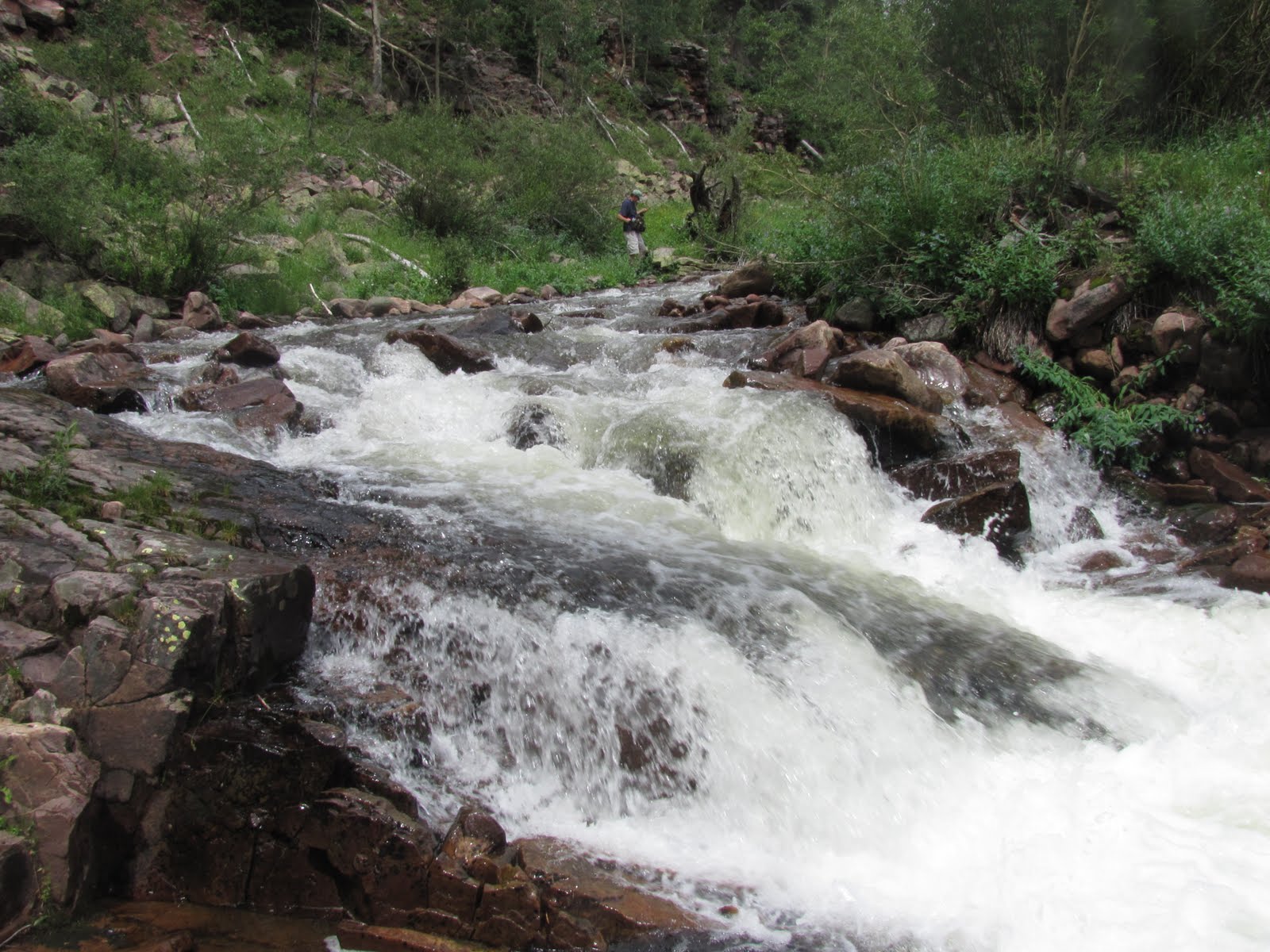 Fisherman's Log Round 2, West Fork of the White Rocks River