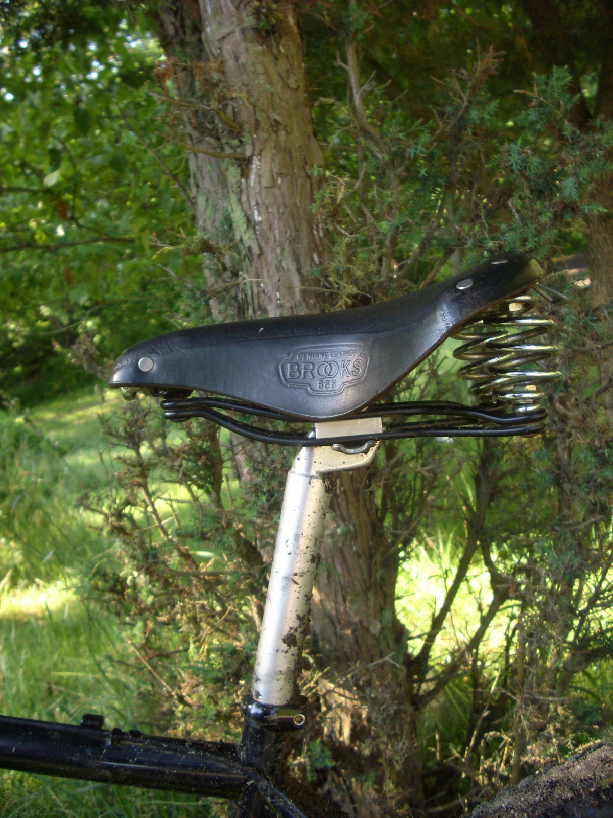 [DSCI2544.JPG]