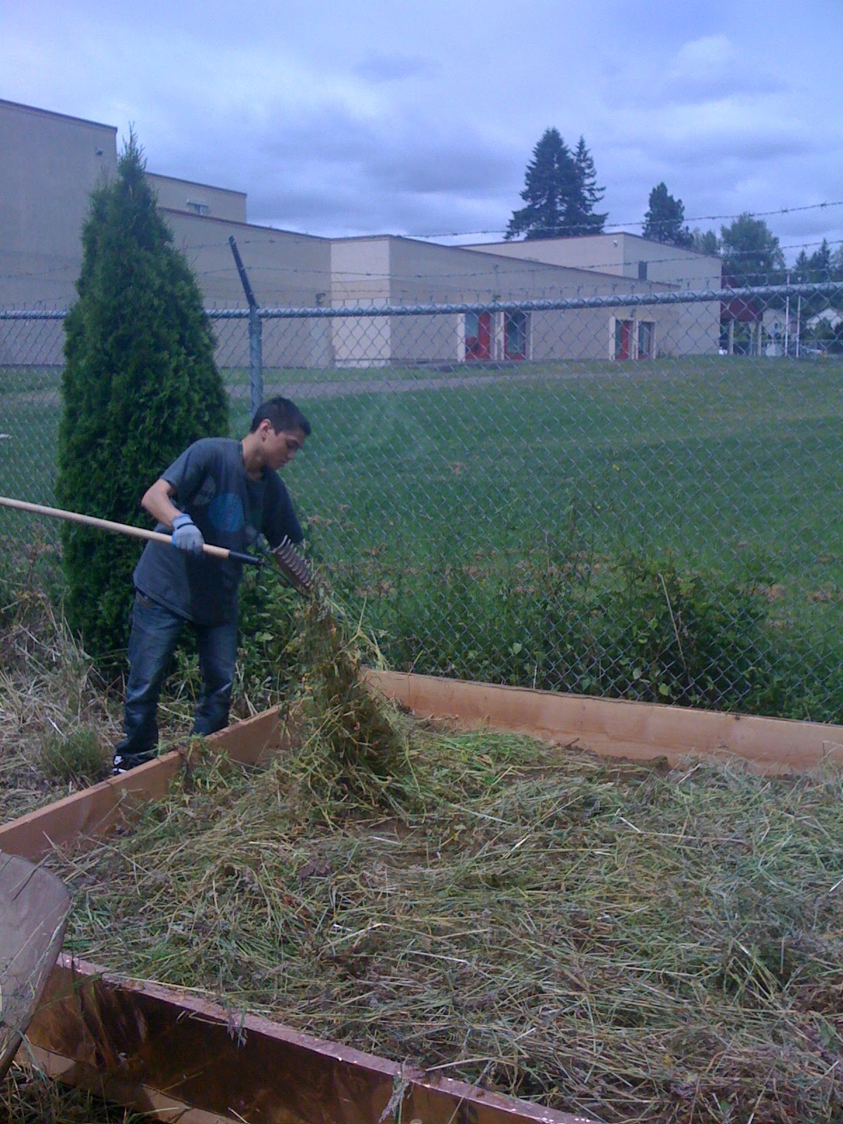 A Craftacopia: Lasagna Gardening 101