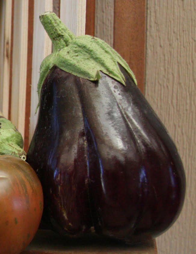 UC Davis Good Life Garden Eggplant eggstravaganza!