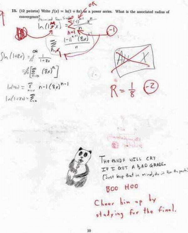 funny quotes on exams quotes about exams. funny quotes on exams