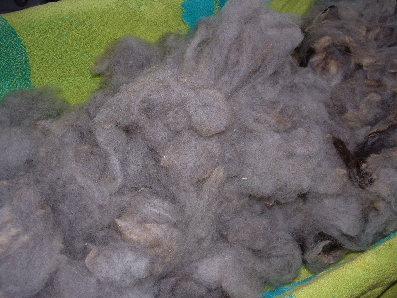 [DSCF0007.JPG]