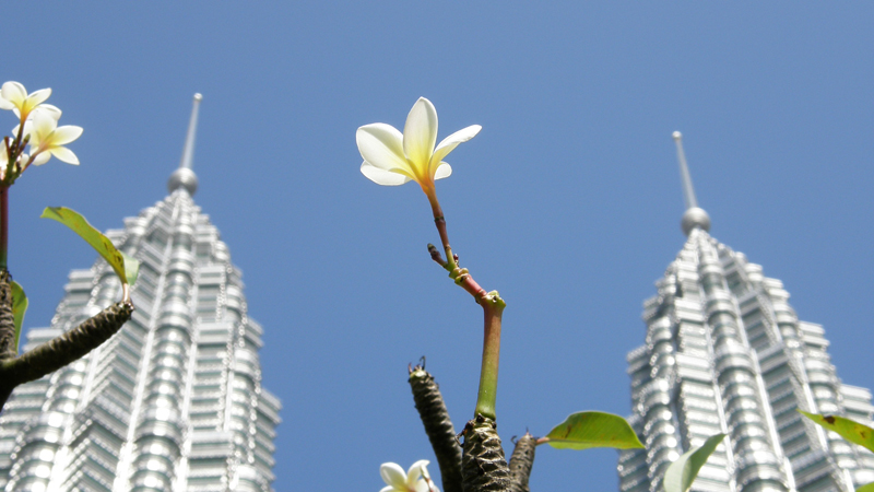 [PC010165.JPG]