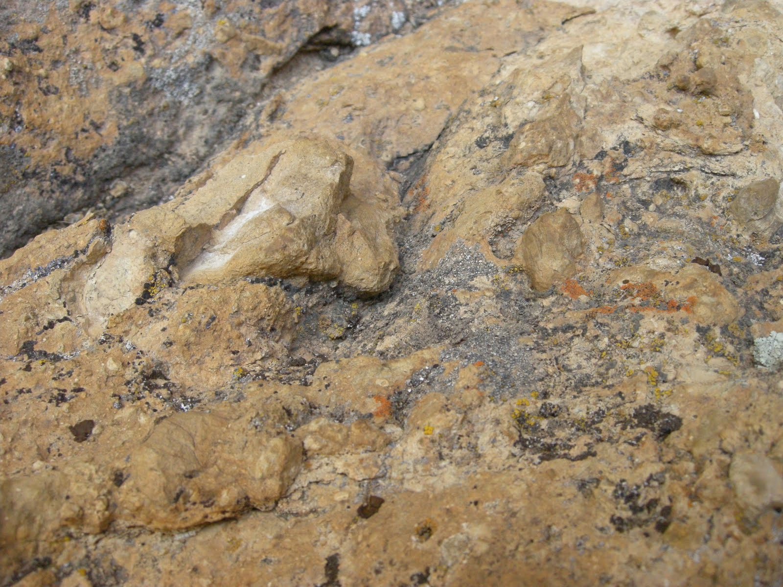 rock close up